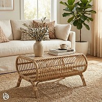 cane furniture india
